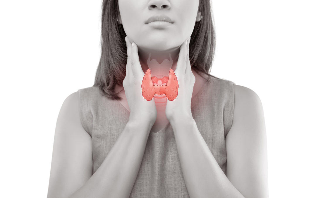 hypothyroidism Women thyroid gland control.